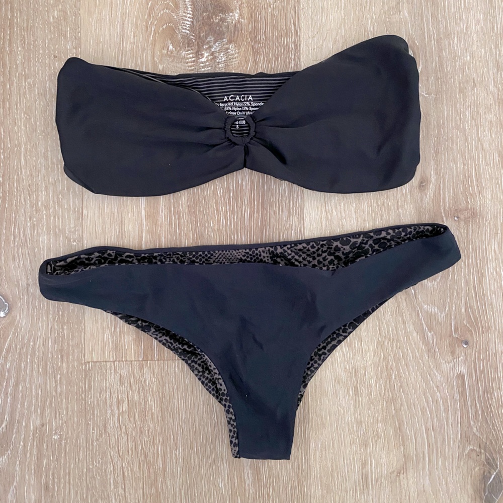 Acacia bikini